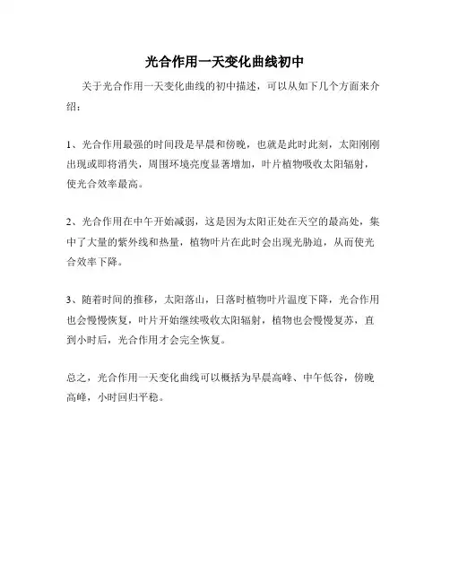 光合作用一天变化曲线初中