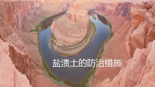 工程岩土的防护与病害处治—盐渍土的防治