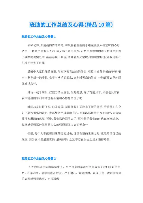 班助的工作总结及心得(精品10篇)