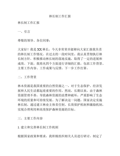 林长制工作汇报