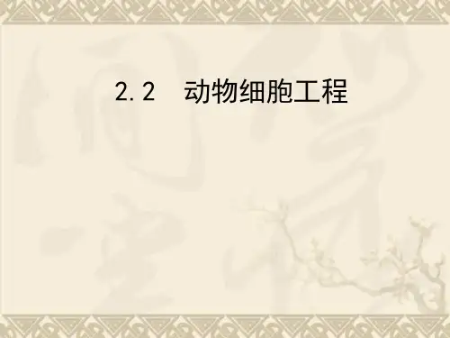高三生物一轮复习 专题3.2.2.2动物细胞工程同步课件 新人教版
