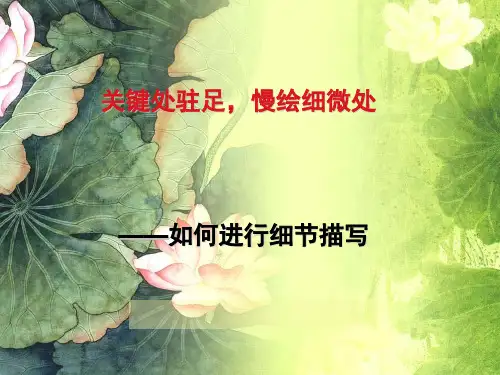 作文细节描写 ppt课件