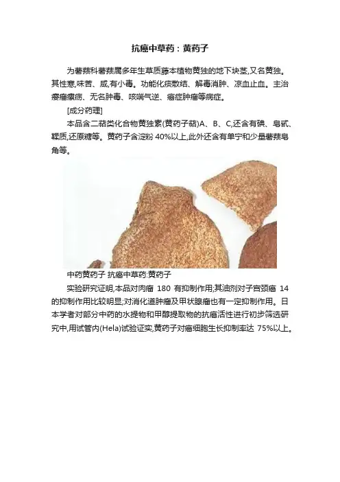 抗癌中草药：黄药子