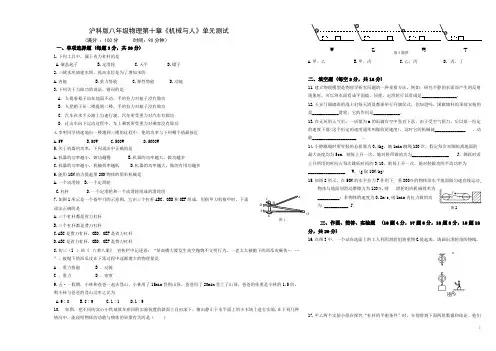 沪科版八年级物理第十章《机械与人》单元测试参考答案