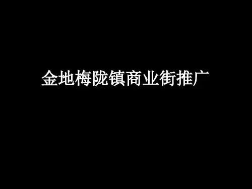 金地深圳龙华梅陇镇商业街整体形象定位及推广方案