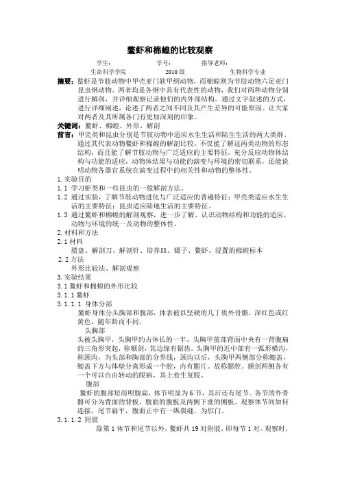 鳌虾和棉蝗的比较观察