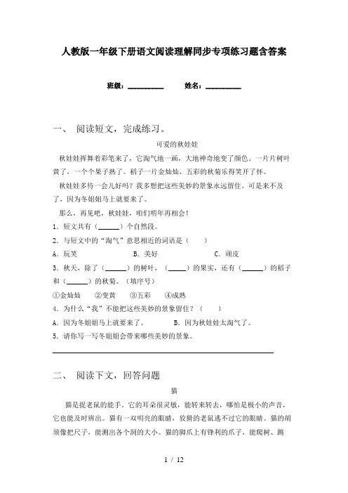 人教版一年级下册语文阅读理解同步专项练习题含答案