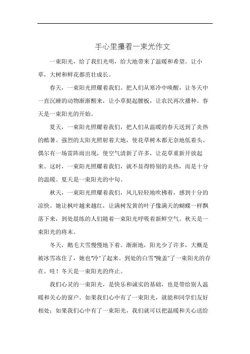 手心里攥着一束光作文