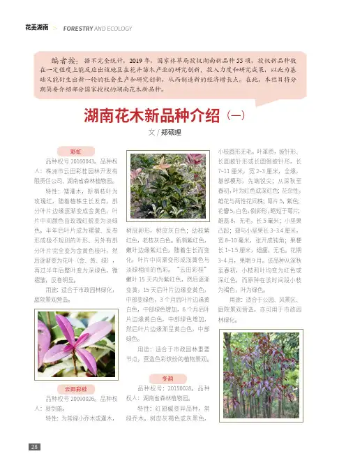 湖南花木新品种介绍(一)