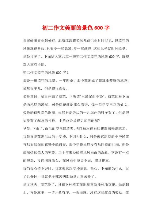 初二作文美丽的景色600字