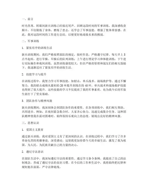 新兵新训个人工作总结