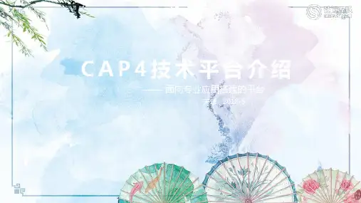 CAP4技术平台介绍_v1
