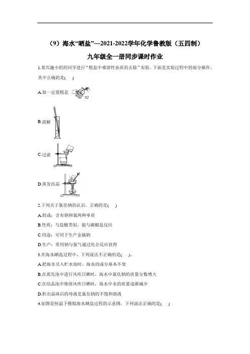 海水“晒盐”同步课时作业-2021-2022学年九年级化学鲁教版(五四制)全一册