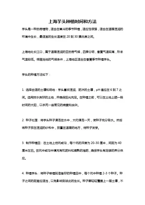 上海芋头种植时间和方法