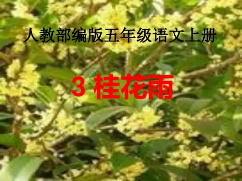 新版五年级上册-3《桂花雨》人教部编版(共22张PPT)