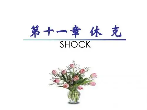 11 休克  zjm