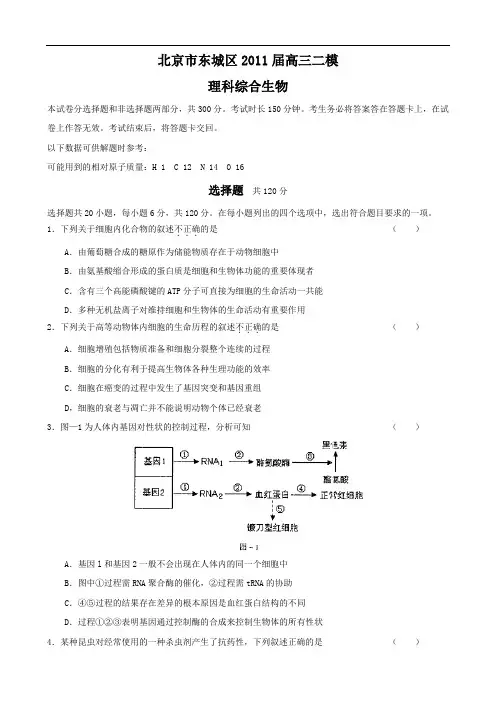 北京市东城区2011届高三二模(理综生物)
