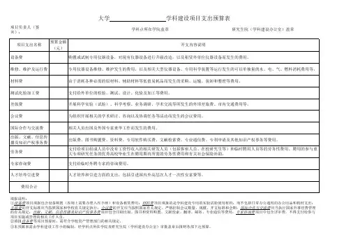 学校学科建设项目支出预算表