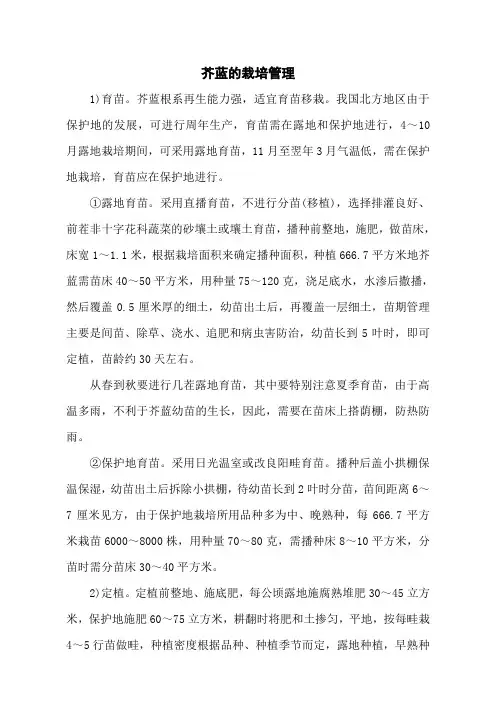 芥蓝的栽培管理