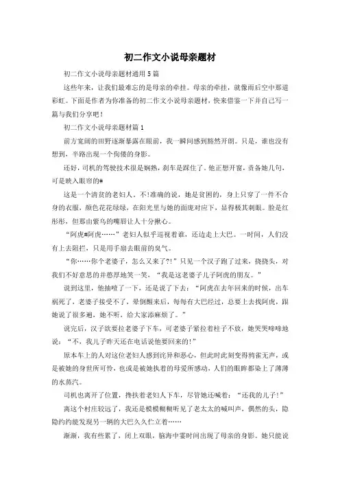 初二作文小说母亲题材