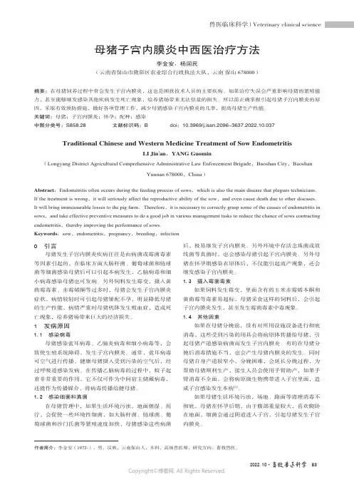 母猪子宫内膜炎中西医治疗方法