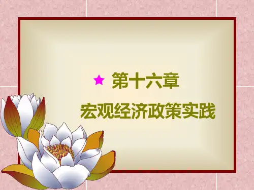 宏观经济政策实践PPT课件