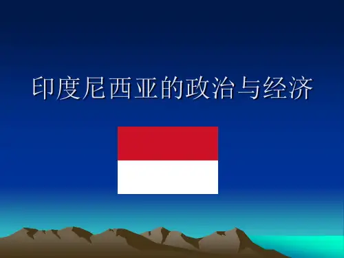 印度尼西亚的政治与经济