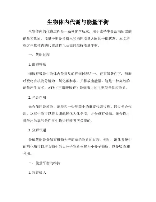 生物体内代谢与能量平衡