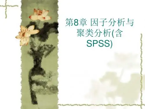 第8章因子分析与聚类分析(含SPSS)