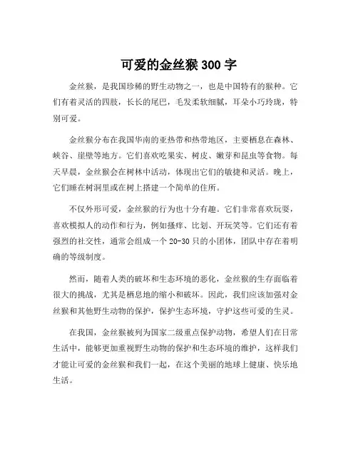 可爱的金丝猴300字