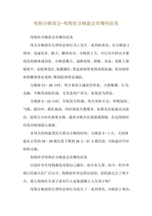 母狗分娩前会-母狗在分娩前会有哪些征兆
