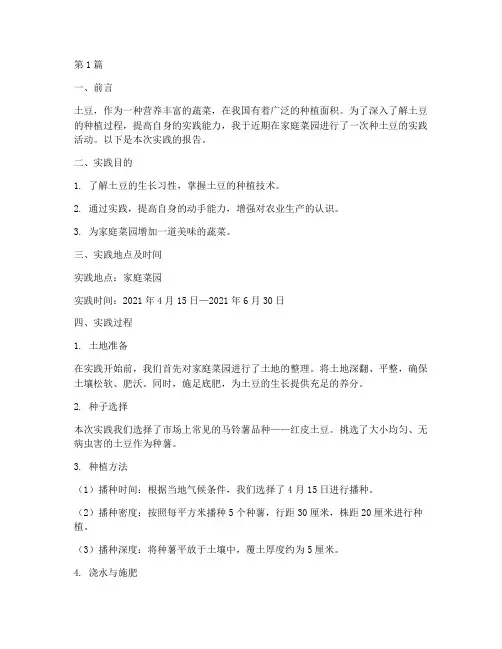 种土豆的实践报告(2篇)