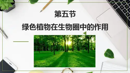 2.1.5绿色植物在生物圈中的作用课件-济南版生物七年级上册【02】