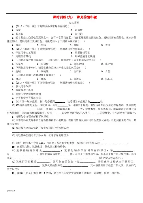 北京市中考化学基础复习课时训练九常见的酸和碱练习含答案