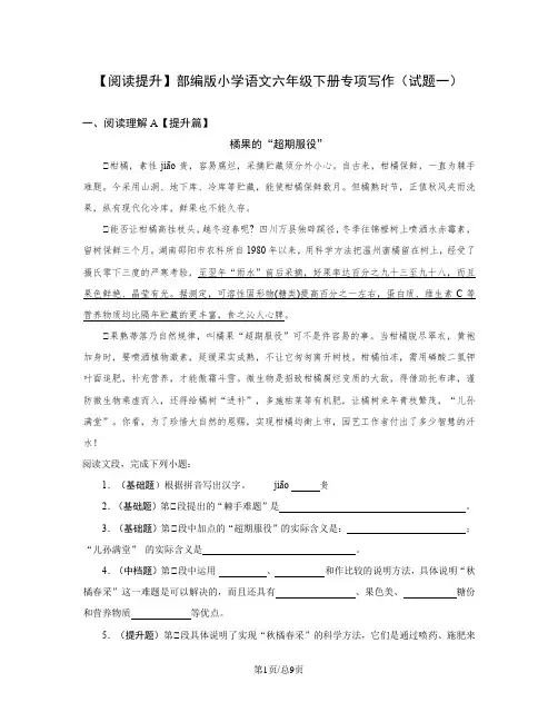 【阅读提升】部编版小学语文六年级下册专项写作(试题一)含答案