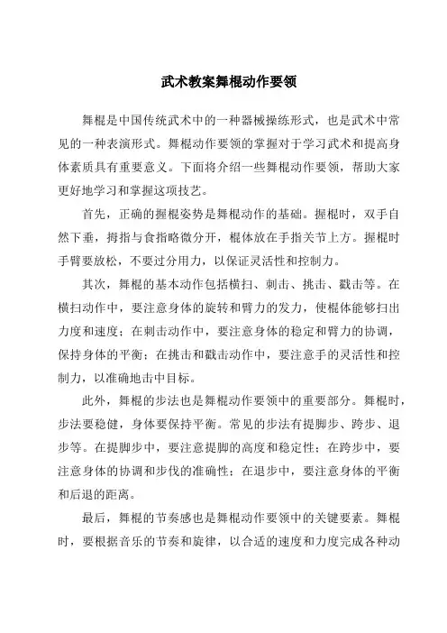 武术教案舞棍动作要领