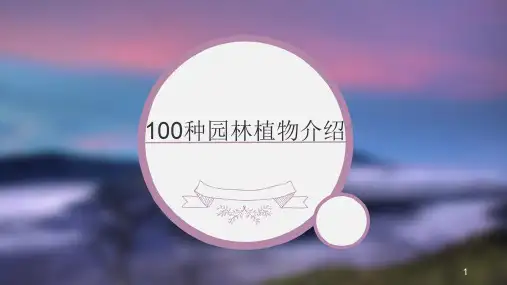 100种园林植物介绍