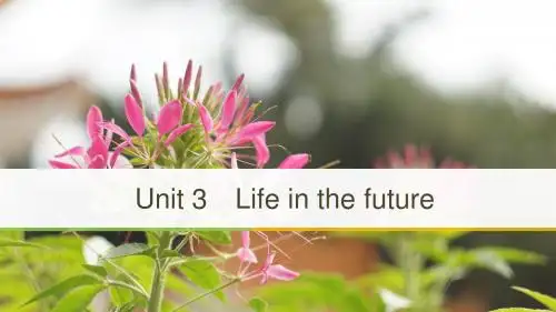 2018-2019版英语新设计同步人教必修5Unit 3 Period Four