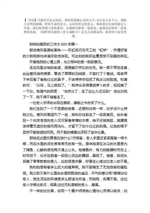 别样的美丽初三作文600字