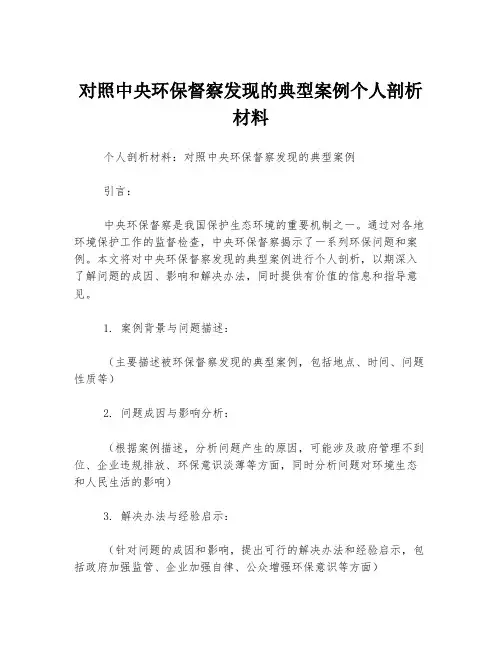 对照中央环保督察发现的典型案例个人剖析材料