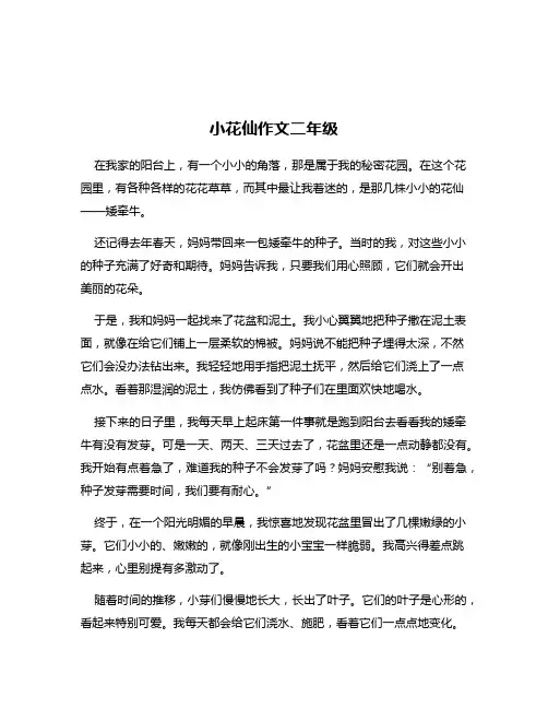 小花仙作文二年级