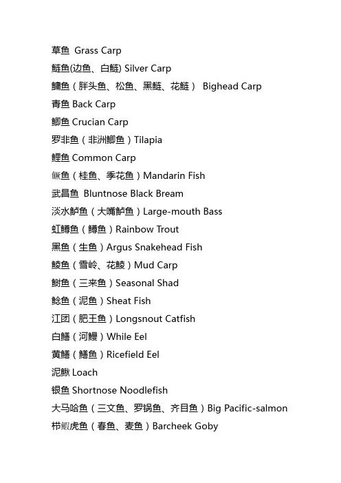 鱼类英文
