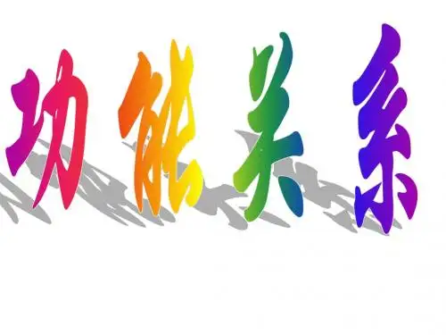 功能关系