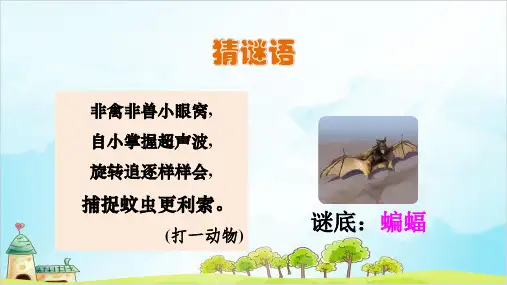 【部编本】四年级上册《蝙蝠和雷达》完美课件