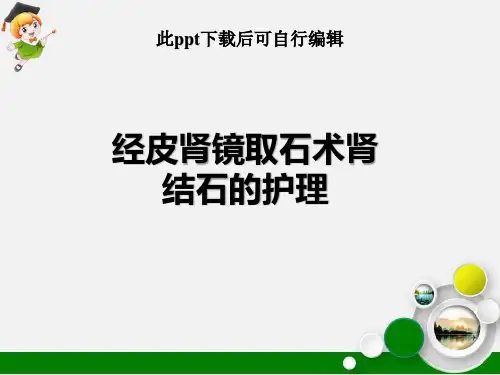 经皮肾镜取石术肾结石的护理ppt课件