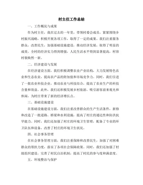 村主任工作总结
