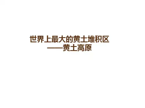 人教版八年级地理下册《八章 认识跨省区域  第一节 沟壑纵横的特殊地形区——黄土高原》课件_7
