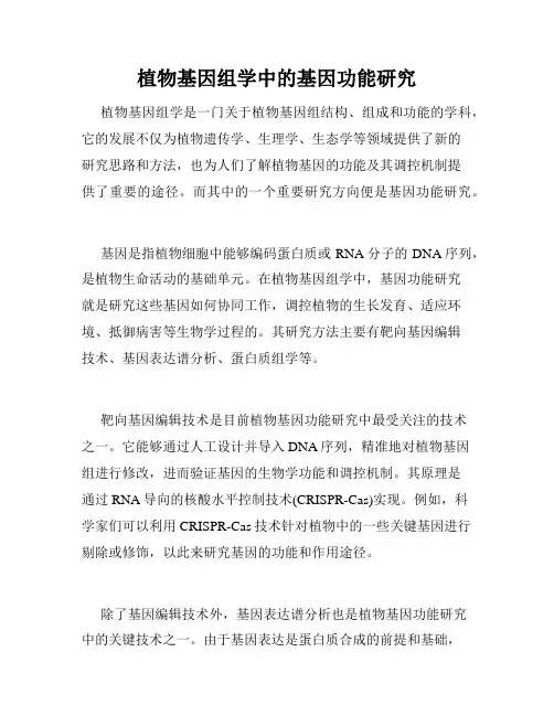 植物基因组学中的基因功能研究