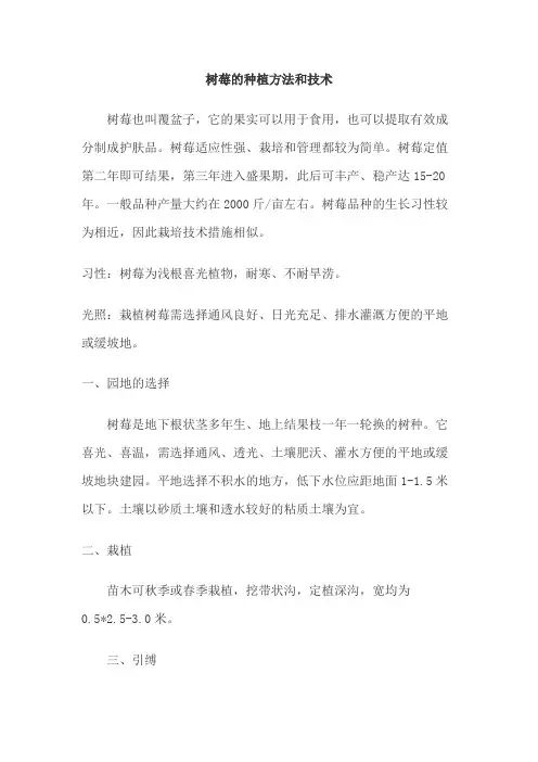 树莓的种植方法和技术