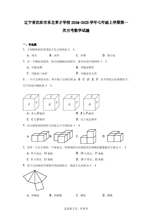 辽宁省沈阳市东北育才学校2024-2025学年七年级上学期第一次月考数学试题